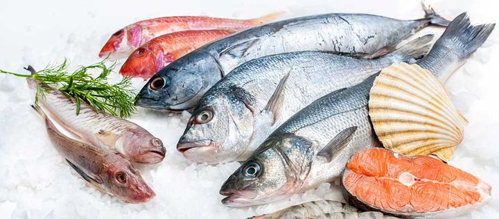 Lachs